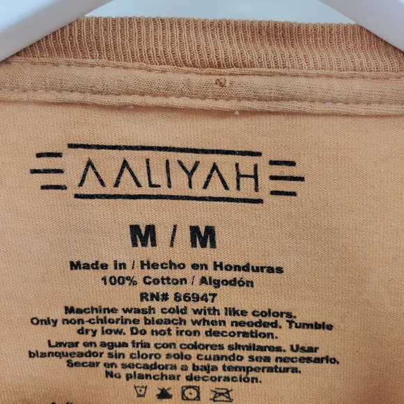 Aaliyah Big Graphic Band Tee Long Sleeves Cropped Tan Orange - Picture 6 of 6